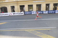 Ljubljanski maraton (Ljubljana, 24. 10. 2015)